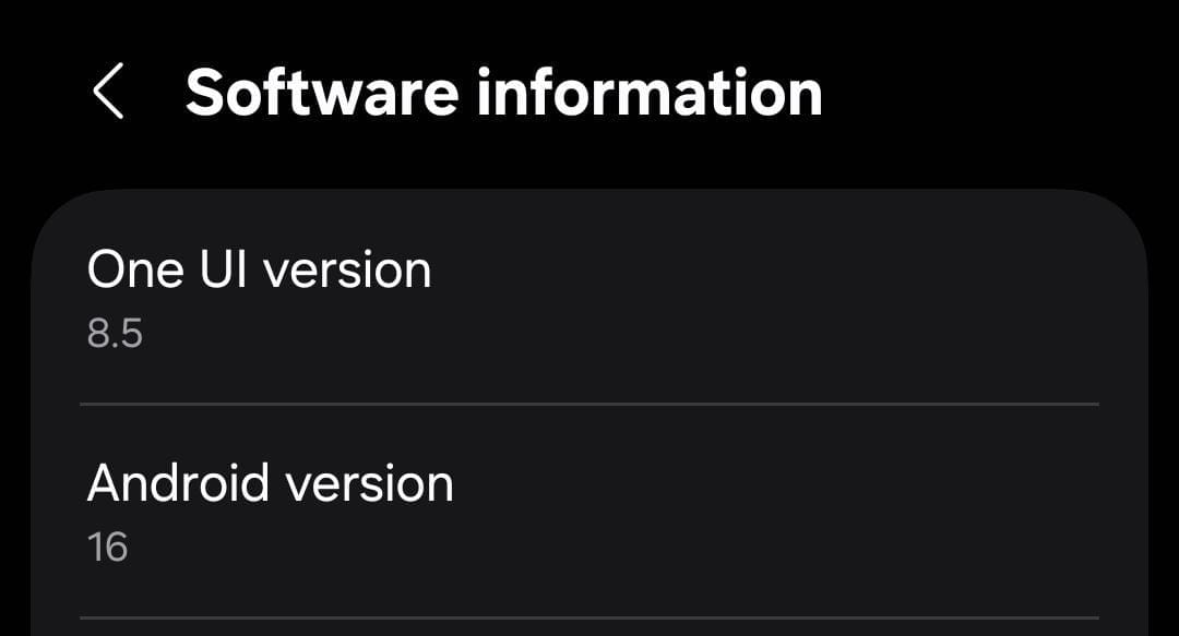 Software Information page on phone
